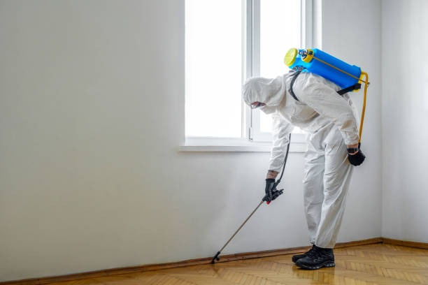 Best Affordable Pest Control Services  in Arnold Line, MS